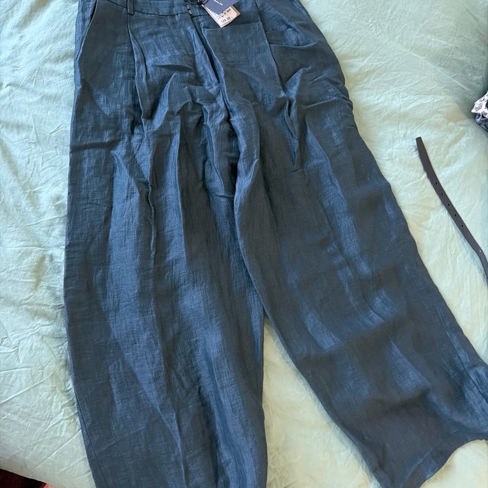 Massimo Dutti Teal Chinos